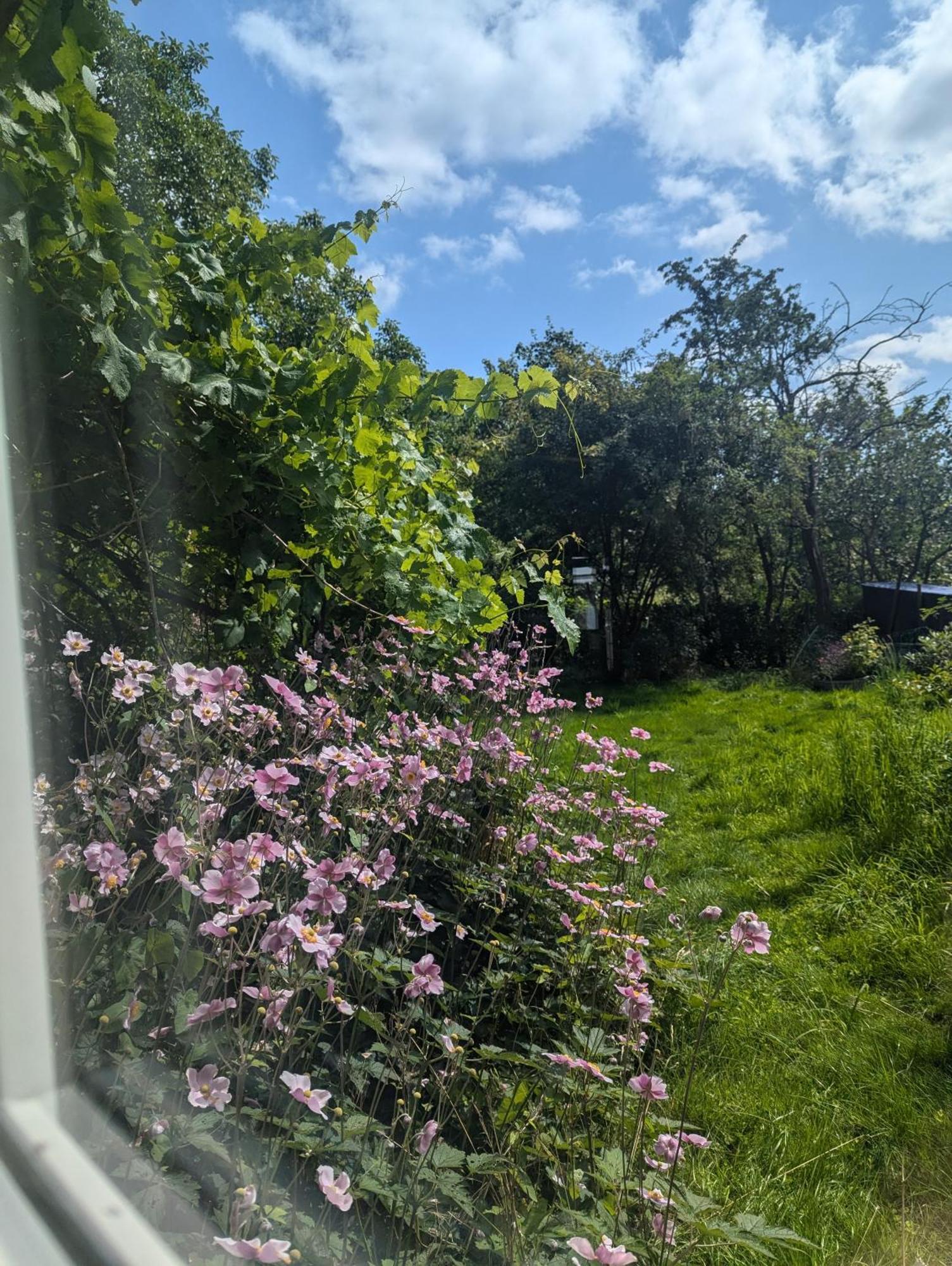 Lejlighed Ved Skov Græsted Dış mekan fotoğraf