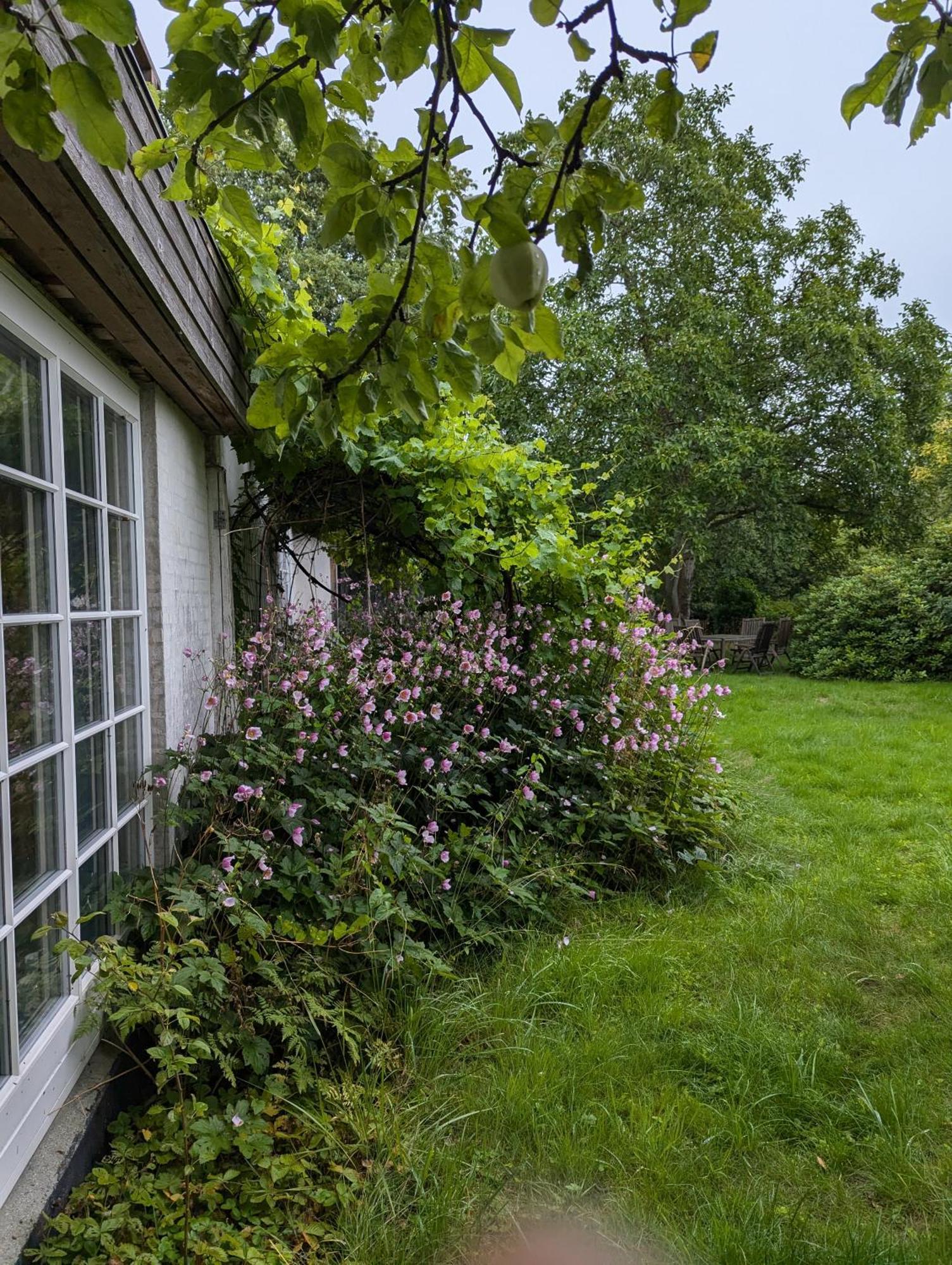 Lejlighed Ved Skov Græsted Dış mekan fotoğraf