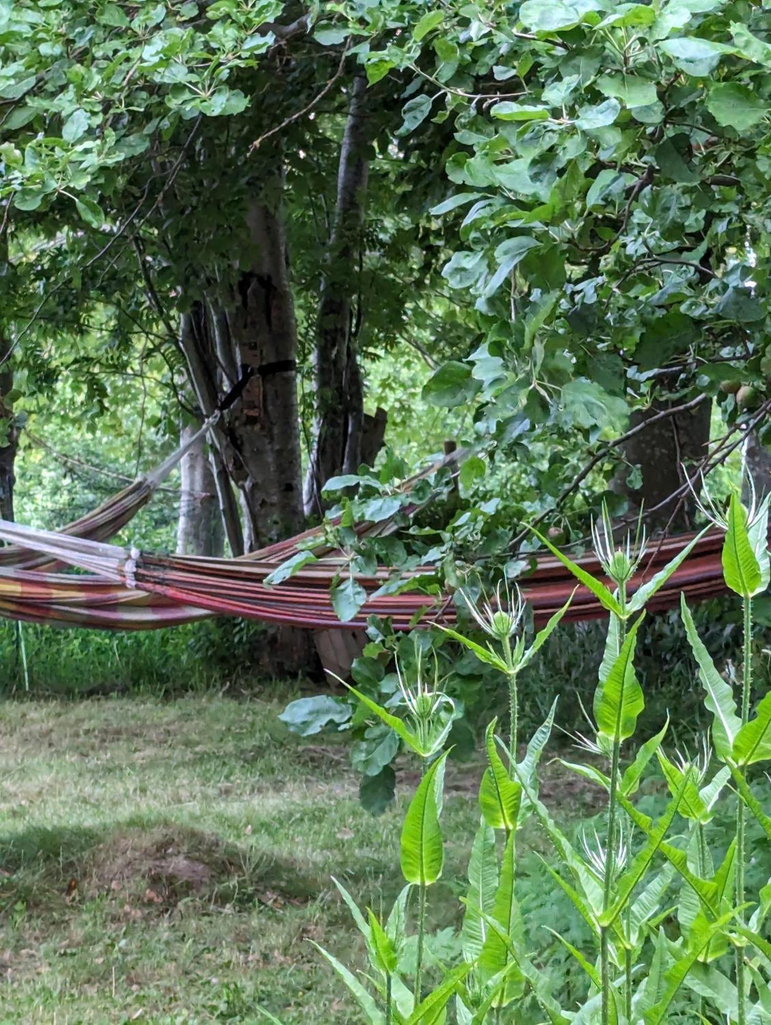 Lejlighed Ved Skov Græsted Dış mekan fotoğraf