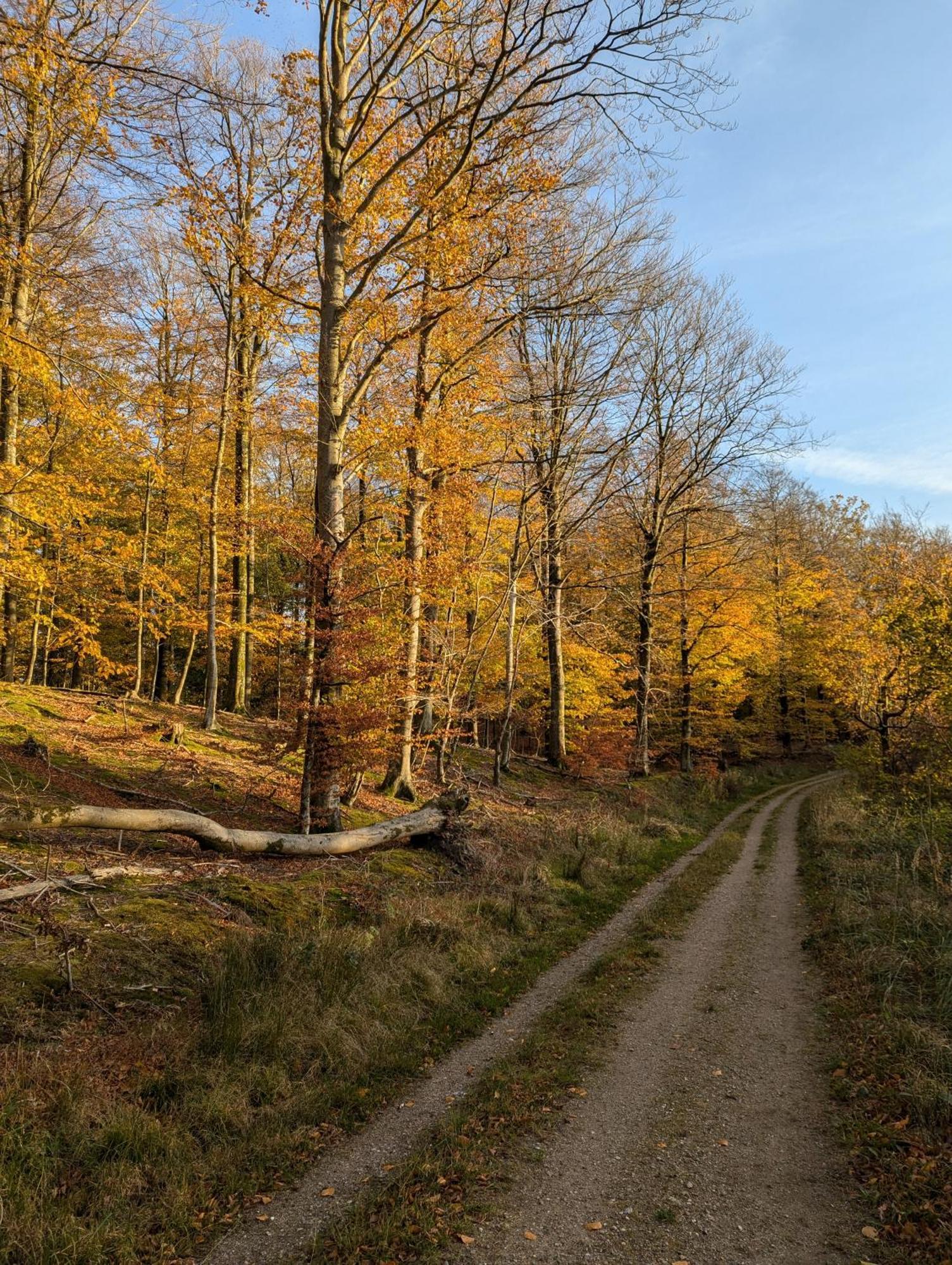 Lejlighed Ved Skov Græsted Dış mekan fotoğraf