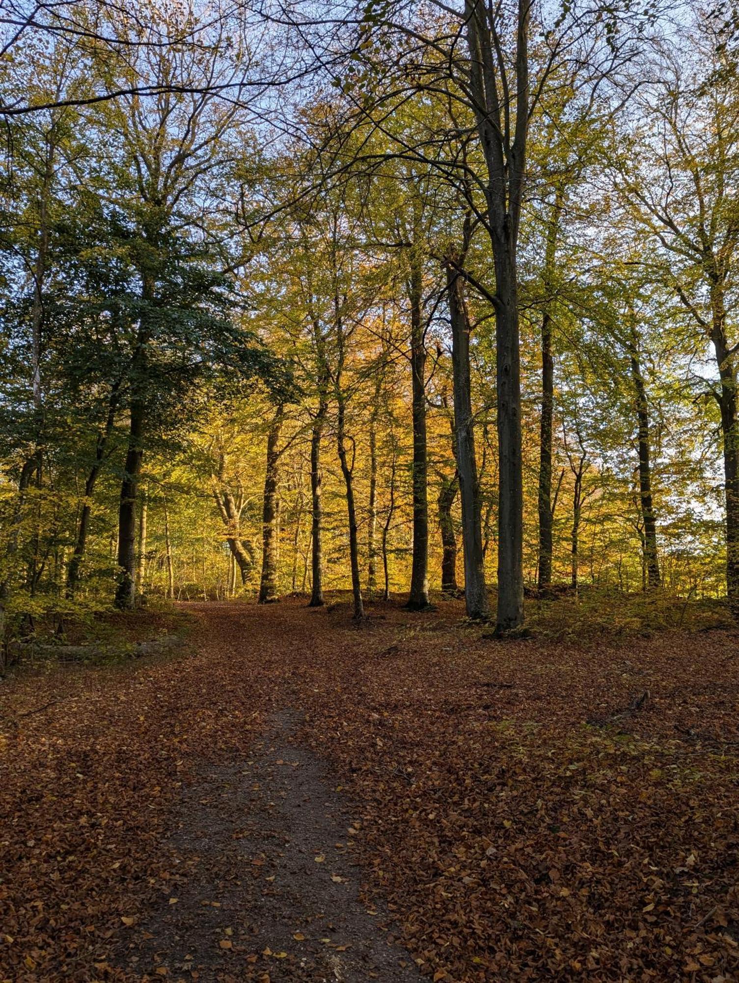 Lejlighed Ved Skov Græsted Dış mekan fotoğraf