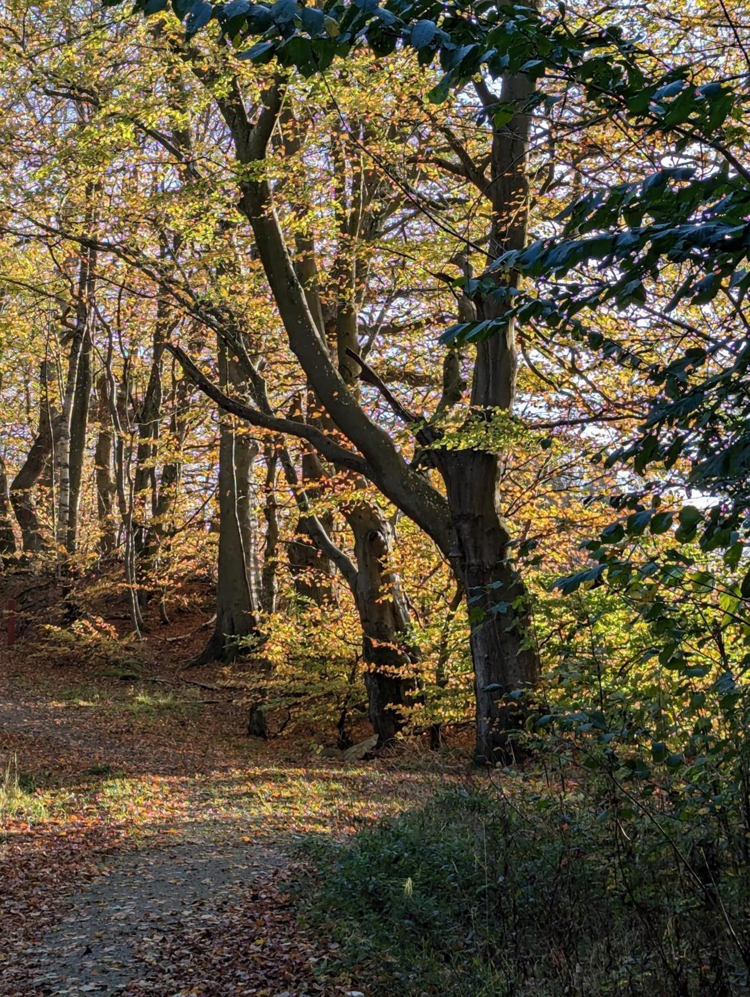 Lejlighed Ved Skov Græsted Dış mekan fotoğraf